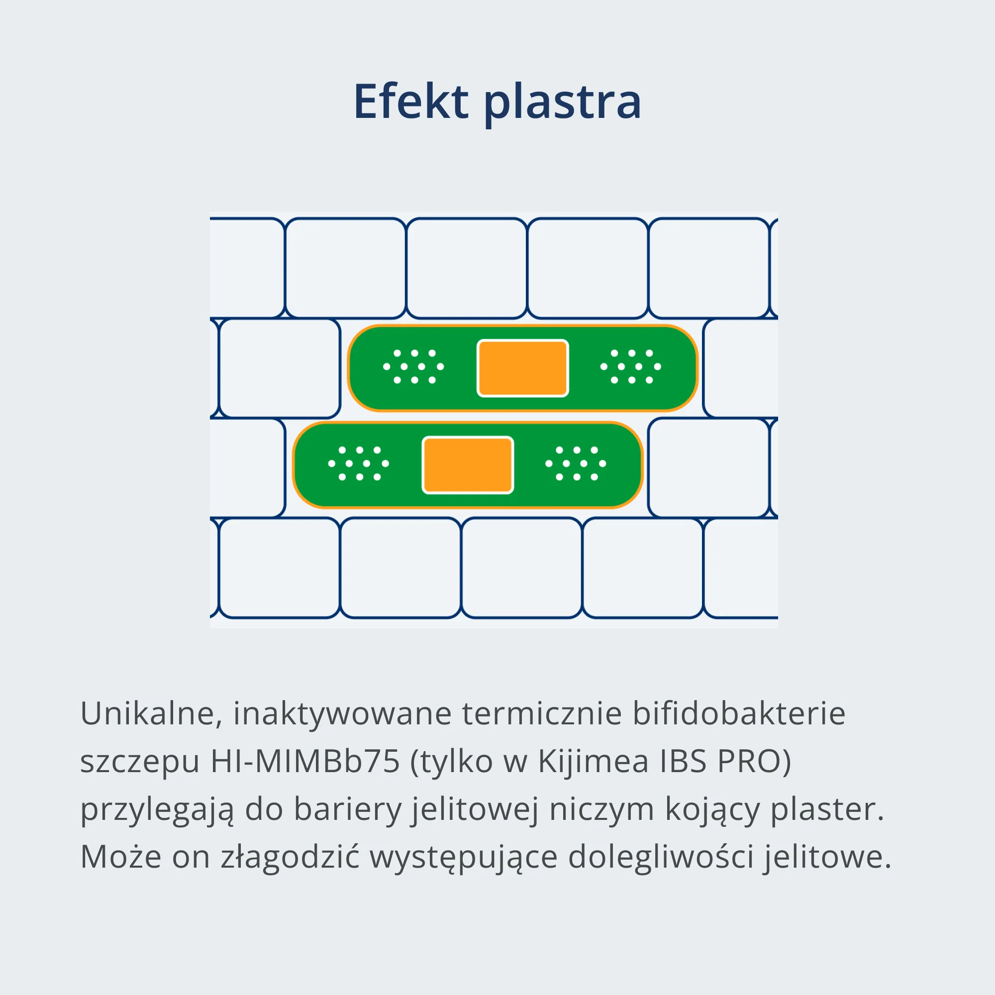 Kijimea IBS PRO - Image 6